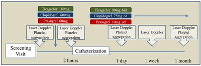 Effects of Clopidogrel, Prasugrel and Ticagrelor on Microvascular Function and Platelet Reactivity in Patients With Acute Coronary Syndrome Undergoing Coronary Artery Stenting. A Randomized, Blinded, Parallel Group Trial